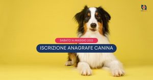 Iscrizione Anagrafe Canina Acerra